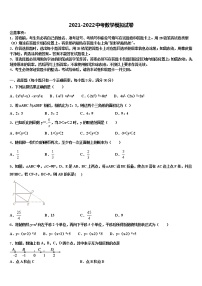 2022年山东省济宁市兖州区中考适应性考试数学试题含解析