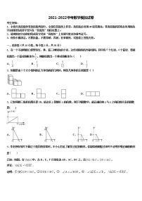 2022年山东省临沂市平邑县达标名校中考数学模拟试题含解析