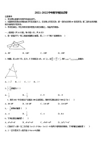 2022年山东省济南平阴县联考中考数学最后冲刺模拟试卷含解析