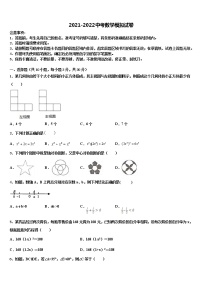 2022年山东省济宁市汶上县市级名校中考适应性考试数学试题含解析