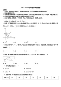 2022年山东省枣庄市名校中考数学对点突破模拟试卷含解析