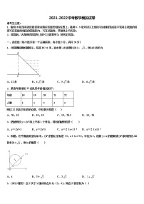 2022年山东寿光文家中学中考一模数学试题含解析