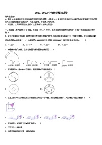 2022年山东省泰安市东平县实验中学达标名校中考一模数学试题含解析