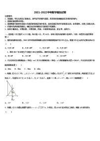 2022年山东省泰安市岱岳区中考数学押题试卷含解析