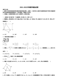 2022年上海市闵行区24校联考中考数学最后冲刺模拟试卷含解析