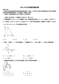 2022年湛江市重点中学毕业升学考试模拟卷数学卷含解析