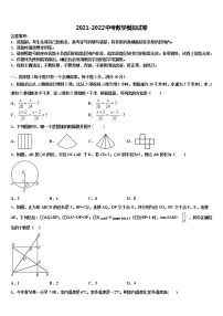 2022年浙江省嘉兴市桐乡重点名校中考数学模拟试题含解析