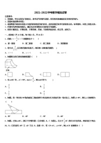 2022年浙江省乐清育英校中考数学五模试卷含解析