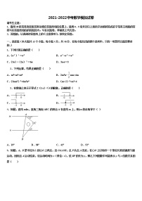 2022年浙江省杭州下城区重点达标名校中考数学仿真试卷含解析