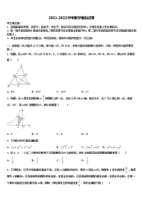 2022年云南省玉溪市中考数学适应性模拟试题含解析