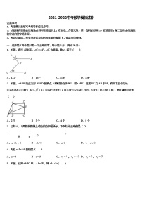 2022年云南省文山州富宁县中考数学模拟预测试卷含解析