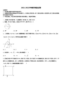 2022年新疆乌鲁木齐第十三中学中考二模数学试题含解析