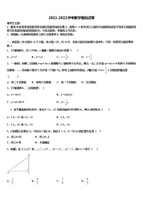 2022年下期湖南岳阳市城区中考冲刺卷数学试题含解析