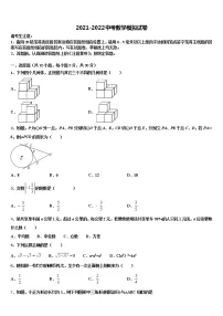 2022年西藏自治区左贡县中考数学模拟试题含解析