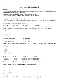 2022年四川省乐山市五中学中考五模数学试题含解析