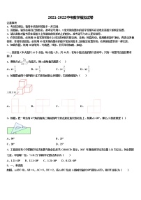 2022年四川省西昌市市级名校中考数学全真模拟试题含解析