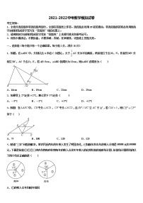 2022年四川省仁寿县联谊学校中考数学适应性模拟试题含解析