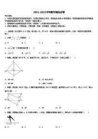 2022年四川省绵阳市游仙区中考数学模拟精编试卷含解析