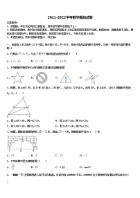 2022年四川省乐山市五通桥区重点中学中考数学对点突破模拟试卷含解析