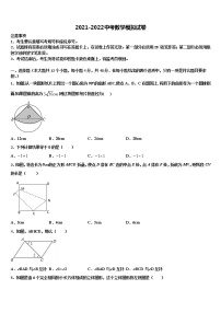 2022年四川省成都市东辰国际校中考数学对点突破模拟试卷含解析