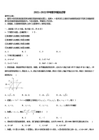 2022年深圳市盐田区中考数学最后冲刺模拟试卷含解析