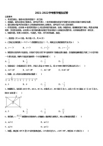 2022年上海市普陀区中考数学对点突破模拟试卷含解析