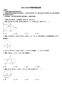 2022年上海市浦东区第四教育署达标名校中考冲刺卷数学试题含解析