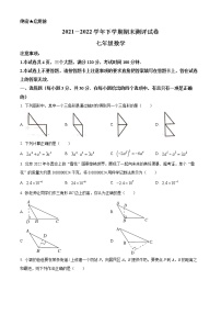 河南省郑州市新郑市2021-2022学年七年级下学期期末数学试题(word版含答案)