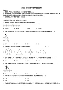 2022年浙江省绍兴市新昌县市级名校中考数学考试模拟冲刺卷含解析