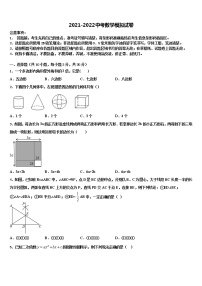 安徽六安市叶集区观山中学2021-2022学年中考联考数学试卷含解析