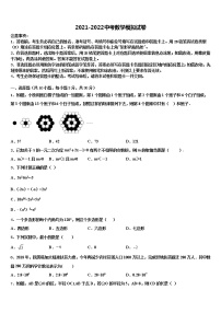 2022年浙江省绍兴市元培中学中考数学考前最后一卷含解析