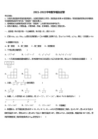 2022年重庆市大足迪涛校中考数学最后冲刺模拟试卷含解析