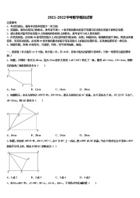 安徽省蚌埠固镇县联考2021-2022学年中考数学对点突破模拟试卷含解析