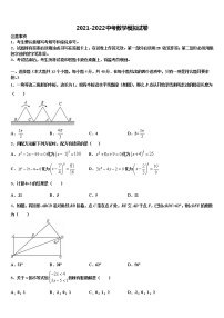 2022年浙江省绍兴市越城区袍江中学中考数学模拟预测试卷含解析