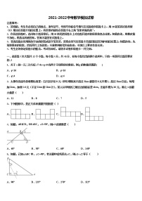 安徽省阜阳九中学2022年中考数学全真模拟试卷含解析