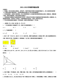 安徽省庐江县联考2021-2022学年中考数学全真模拟试卷含解析