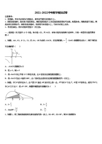 安徽省蒙城中学2022年中考适应性考试数学试题含解析