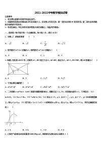 安徽省郎溪二中学2021-2022学年中考数学模拟预测题含解析