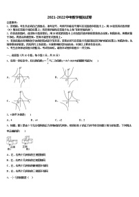 安徽省桐城实验中学2021-2022学年中考数学模拟精编试卷含解析