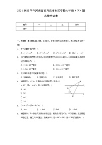 2021-2022学年河南省驻马店市市区学校七年级（下）期末数学试卷（Word解析版）