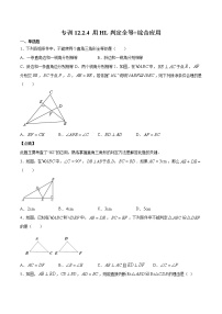 数学八年级上册12.2 三角形全等的判定优秀综合训练题