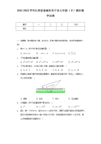 2021-2022学年江苏省盐城市阜宁县七年级（下）期末数学试卷（Word解析版）