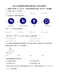 河南省南阳市新野县2021-2022学年七年级下学期期末数学试题(word版含答案)