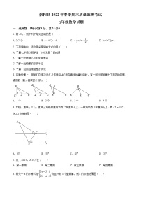 湖北省咸宁市崇阳县2021-2022学年七年级下学期期末数学试题(word版含答案)