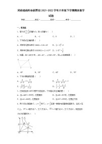 河南省南阳市新野县2021-2022学年八年级下学期期末数学试题(word版含答案)