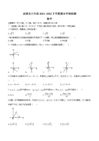 河南省新乡市延津县2021-2022学年八年级下学期期末数学试题(word版含答案)