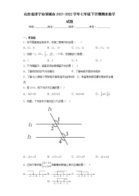 山东省济宁市邹城市2021-2022学年七年级下学期期末数学试题(word版含答案)