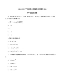 2022年四川省攀枝花市第十九中小学集团九年级中考第三次模拟数学试题(word版无答案)