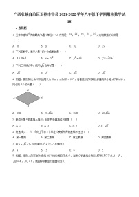 广西壮族自治区玉林市容县2021-2022学年八年级下学期期末数学试题(word版含答案)