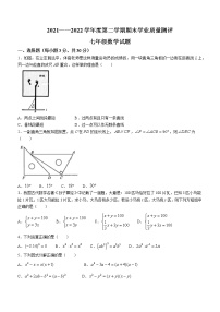 山东省菏泽市成武县2021-2022学年七年级下学期期末数学试题(word版含答案)